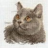 Hot Sale 🤩 Alisa - British Cat 0-134 Counted Cross-Stitch Kit 🛒 -Crafts For Her Shop alisa british cat 0 134 counted cross stitch kit14190581NOWA
