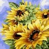 Best Pirce ✨ Crafting Spark - Painting by Numbers kit Crafting Spark Golden Sunflowers B136 19.69 x 15.75 in 🔔 -Crafts For Her Shop crafting spark painting by numbers kit crafting spark golden sunflowers b136 19 69 x 15 75 in14192646NOWA