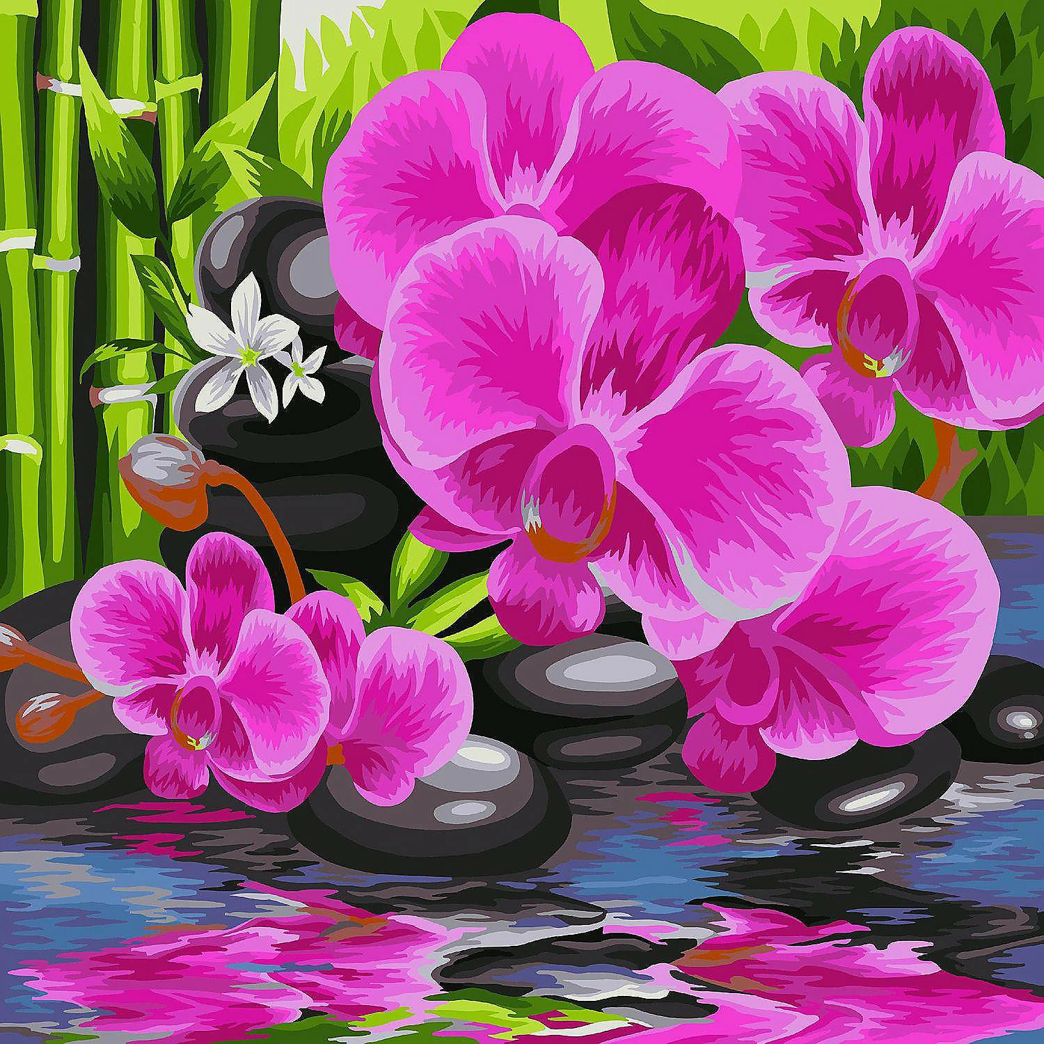 New ๐ Crafting Spark - Painting by Numbers kit Crafting Spark Orchid B081 19.69 x 15.75 in ๐ 3 New ๐ Crafting Spark - Painting by Numbers kit Crafting Spark Orchid B081 19.69 x 15.75 in ๐