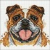 Buy 🎉 Crafting Spark (Wizardi) - Bulldog Cs2718 7.87x7.87 inches Crafting Spark Diamond Painting Kit ⭐ 2 Buy 🎉 Crafting Spark (Wizardi) - Bulldog Cs2718 7.87x7.87 inches Crafting Spark Diamond Painting Kit ⭐ -Crafts For Her Shop crafting spark wizardi bulldog cs2718 7 87x7 87 inches crafting spark diamond painting kit14192274NOWA