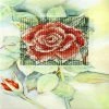 Best deal ✨ Crafting Spark (Wizardi) - Complete counted cross stitch kit - greetings card "Rose" 6228 🥰 -Crafts For Her Shop crafting spark wizardi complete counted cross stitch kit greetings card rose 622814222436NOWA