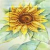 Hot Sale ❤️ Crafting Spark (Wizardi) - Complete counted cross stitch kit - greetings card "Sunflower" 6229 🎁 -Crafts For Her Shop crafting spark wizardi complete counted cross stitch kit greetings card sunflower 622914222305NOWA