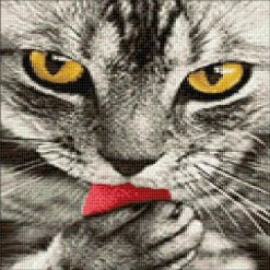 Top 10 ๐ฅฐ Crafting Spark (Wizardi) - Crafting Spark Diamond Painting Kit Kitten CS2533 7.87 x 11.81 inches ๐ 8 Top 10 ๐ฅฐ Crafting Spark (Wizardi) - Crafting Spark Diamond Painting Kit Kitten CS2533 7.87 x 11.81 inches ๐ -Crafts For Her Shop crafting spark wizardi crafting spark diamond painting kit kitten cs2533 7 87 x 11 81 inches14222326 a02NOWA