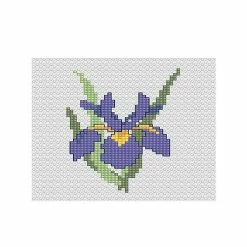 Top 10 🤩 Crafting Spark (Wizardi) - Iris B021L Counted Cross-Stitch Kit 🛒