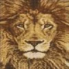Best reviews of 🎉 Crafting Spark (Wizardi) - Lion WD068 7.9 x 11.8 inches Wizardi Diamond Painting Kit 🎉 -Crafts For Her Shop crafting spark wizardi lion wd068 7 9 x 11 8 inches wizardi diamond painting kit14192304NOWA