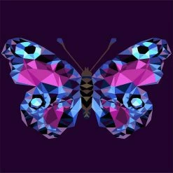 Outlet 💯 Crafting Spark (Wizardi) - Painting by Numbers kit Crafting Spark Celebration Poly Butterfly P003 19.69 x 15.75 in 🎉