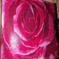 Outlet 🌟 Crafting Spark (Wizardi) - Painting by Numbers kit Crafting Spark Tender Rose B114 19.69 x 15.75 in 🥰 -Crafts For Her Shop crafting spark wizardi painting by numbers kit crafting spark tender rose b114 19 69 x 15 75 in14192527 a02NOWA