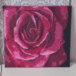 Outlet 🌟 Crafting Spark (Wizardi) - Painting by Numbers kit Crafting Spark Tender Rose B114 19.69 x 15.75 in 🥰 -Crafts For Her Shop crafting spark wizardi painting by numbers kit crafting spark tender rose b114 19 69 x 15 75 in14192527 a03NOWA