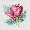 Budget π Crafting Spark (Wizardi) - Rose SM-631 Counted Cross Stitch Kit π₯° 2 Budget π Crafting Spark (Wizardi) - Rose SM-631 Counted Cross Stitch Kit π₯° -Crafts For Her Shop crafting spark wizardi rose sm 631 counted cross stitch kit14222504NOWA