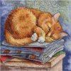 Flash Sale 🔔 Crafting Spark (Wizardi) - Smart Cat HB-595 / SNV-595 Counted Cross Stitch Kit ⌛ -Crafts For Her Shop crafting spark wizardi smart cat hb 595 snv 595 counted cross stitch kit14222457NOWA