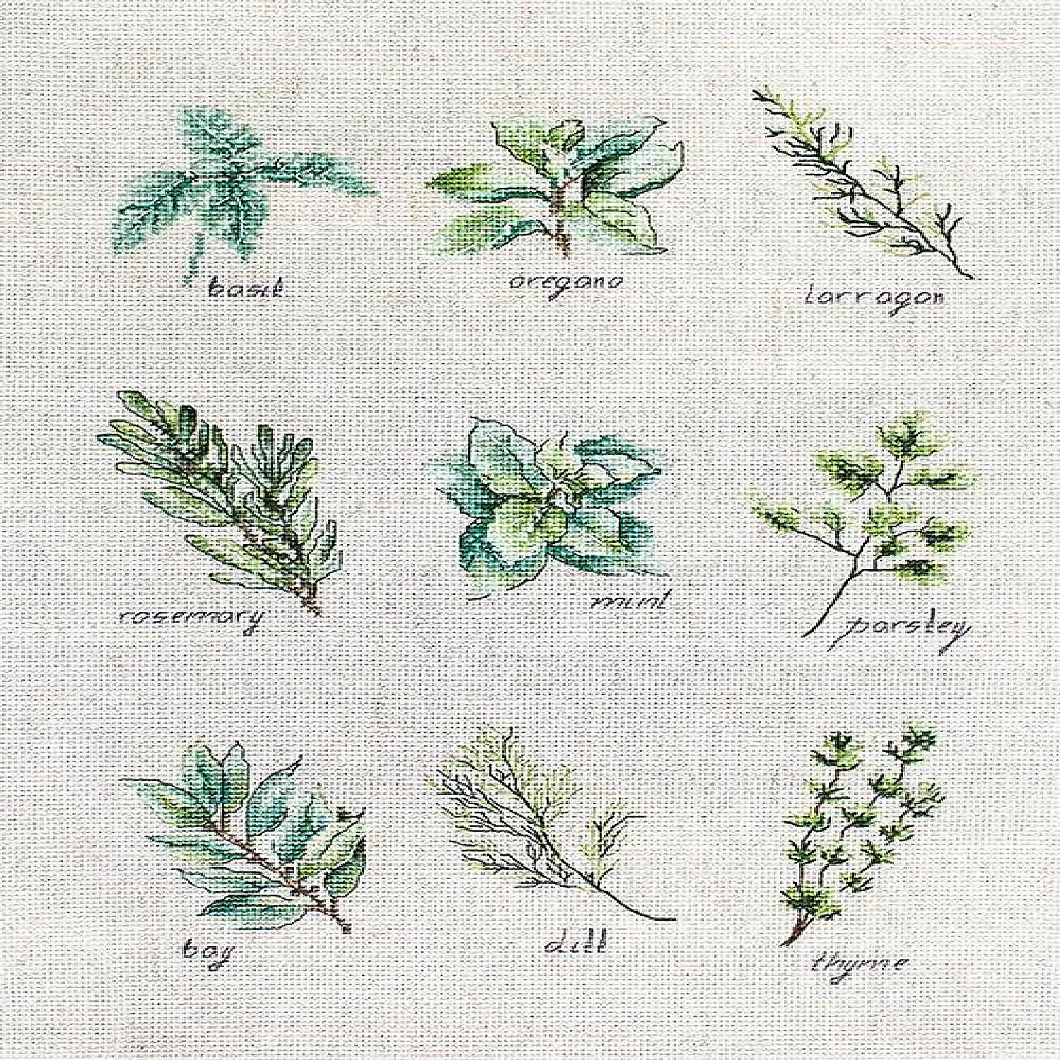 Cheapest 🧨 Crafting Spark (Wizardi) - Spices and herbs B2346L Counted Cross-Stitch Kit ⌛ 3 Cheapest 🧨 Crafting Spark (Wizardi) - Spices and herbs B2346L Counted Cross-Stitch Kit ⌛