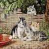Promo 🥰 Crafting Spark (Wizardi) - The Cats B556L Counted Cross-Stitch Kit 🌟 -Crafts For Her Shop crafting spark wizardi the cats b556l counted cross stitch kit14222266NOWA