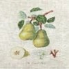 Best deal 💯 Crafting Spark (Wizardi) - The Dauch Pear BA22420L Counted Cross-Stitch Kit 🔥 -Crafts For Her Shop crafting spark wizardi the dauch pear ba22420l counted cross stitch kit14222231NOWA