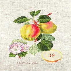 Best Sale π Crafting Spark (Wizardi) - The Dutch Codlin BA22440L Counted Cross-Stitch Kit π 8 Best Sale π Crafting Spark (Wizardi) - The Dutch Codlin BA22440L Counted Cross-Stitch Kit π -Crafts For Her Shop crafting spark wizardi the dutch codlin ba22440l counted cross stitch kit14222246 a02NOWA