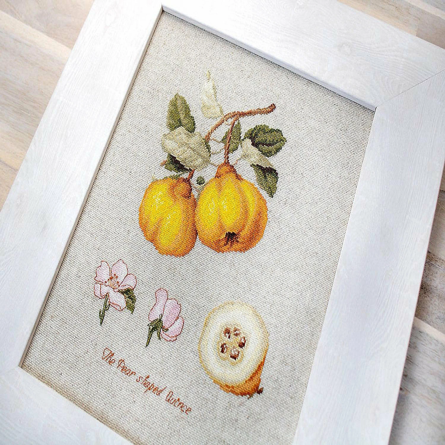Outlet ๐ Crafting Spark (Wizardi) - The Pear shaped Quince BA22430L Counted Cross-Stitch Kit โ๏ธ 5 Outlet ๐ Crafting Spark (Wizardi) - The Pear shaped Quince BA22430L Counted Cross-Stitch Kit โ๏ธ - Image 3
