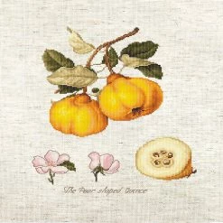 Outlet 🎁 Crafting Spark (Wizardi) - The Pear shaped Quince BA22430L Counted Cross-Stitch Kit ✔️