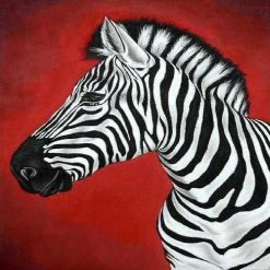 Coupon 👍 Crafting Spark (Wizardi) - Zebra CS080 11.81 x 15.75 inches Crafting Spark Diamond Painting Kit ❤️