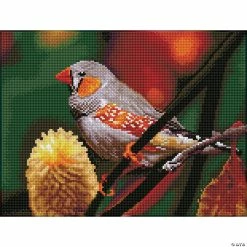 Top 10 ❤️ Diamond Dotz Diamond Embroidery Facet Art Kit 12.2"X16.14"-Gouldian Finch with Frame 👏