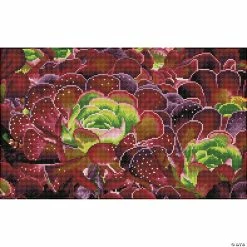 Promo ⌛ Diamond Dotz Diamond Embroidery Facet Art Kit 12.6"X20.47"-Succulents 💯