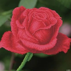 Discount 🎁 Diamond Dotz Diamond Embroidery Facet Art Kit 12"X12"-Rose Bud with Frame ✔️