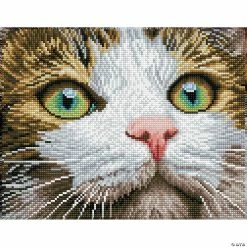 New 👏 Diamond Dotz Diamond Embroidery Facet Art Kit 14"X11"-Green Eyed Beauty with Frame ✔️