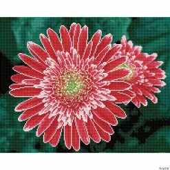 Top 10 😍 Diamond Dotz Diamond Embroidery Facet Art Kit 15.75"X19.69"-Pink Gerberas ❤️