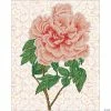 Deals 🌟 Diamond Dotz Diamond Embroidery Facet Art Kit 15.8"X19.7"-Rose Blush 🔔 1 Deals 🌟 Diamond Dotz Diamond Embroidery Facet Art Kit 15.8"X19.7"-Rose Blush 🔔 -Crafts For Her Shop diamond dotz diamond embroidery facet art kit 15 8x19 7 rose blush14098897
