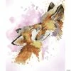 Promo 🤩 Diamond Dotz Diamond Embroidery Facet Art Kit 16.5"X19.7"-Fox Bliss ⭐ -Crafts For Her Shop diamond dotz diamond embroidery facet art kit 16 5x19 7 fox bliss14098894