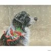 Top 10 🧨 Diamond Dotz Diamond Embroidery Facet Art Kit 19"X16"-Christmas Collie 🎉 -Crafts For Her Shop diamond dotz diamond embroidery facet art kit 19x16 christmas collie14098921