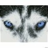 Best deal 🔔 Diamond Dotz Diamond Embroidery Facet Art Kit 8"X10.24"-Mystic Husky with Frame 😍 -Crafts For Her Shop diamond dotz diamond embroidery facet art kit 8x10 24 mystic husky with frame14099028