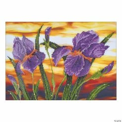 New 🎁 Diamond Dotz Facet Art Kit - Iris Sunset 🛒