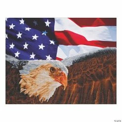Budget 🧨 Diamond Dotz® Diamond Facet Art Kit - Bald Eagle & Flag 😍