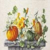 Wholesale 🥰 Luca-S - Pumpkin B2303L Counted Cross-Stitch Kit ⭐ -Crafts For Her Shop luca s pumpkin b2303l counted cross stitch kit14191308NOWA