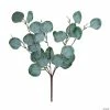 Best reviews of ⭐ Silver Dollar Eucalyptus Stems - 3 Pc. ✔️ -Crafts For Her Shop silver dollar eucalyptus stems 3 pc 13958901