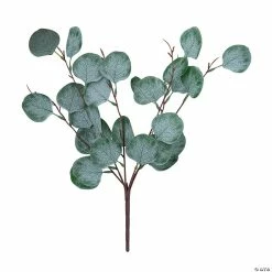 Best reviews of ⭐ Silver Dollar Eucalyptus Stems - 3 Pc. ✔️