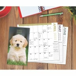 Budget 🛒 Willow Creek Press Puppy 2022-23 2-year Pocket Pln 😀