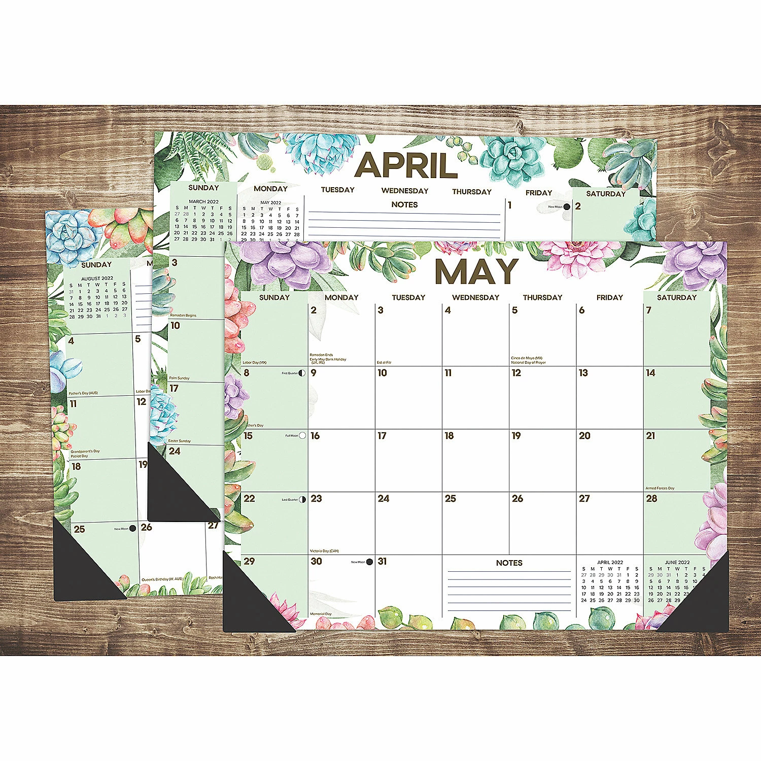 Deals 🥰 Willow Creek Press Succulent 22 x 17 Large Mon Deskpad 🎁 4 Deals 🥰 Willow Creek Press Succulent 22 x 17 Large Mon Deskpad 🎁 - Image 2